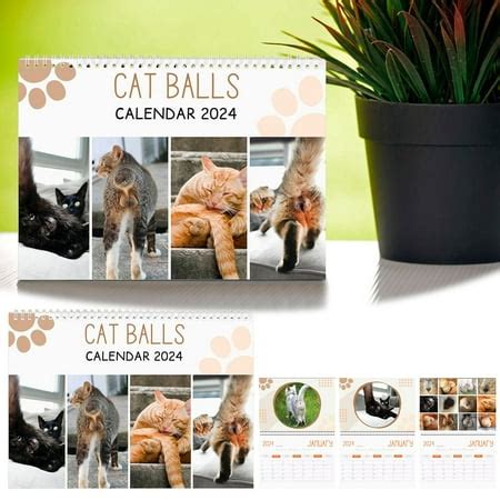 cat bum calendar|cat butt calendars.